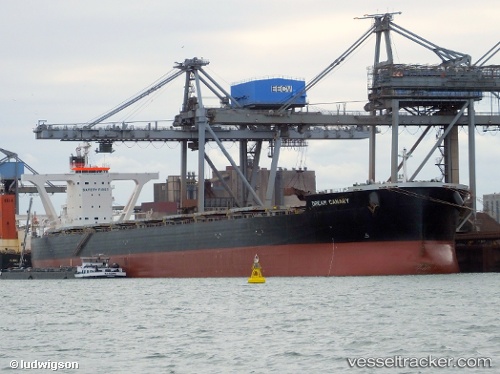 vessel Dream Canary IMO: 9583005, Bulk Carrier
