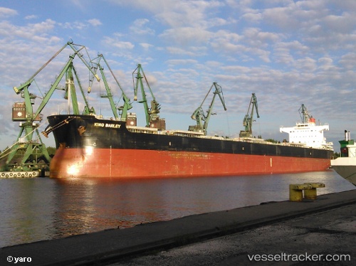 vessel BUFFALO IMO: 9583160, Bulk Carrier