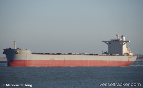 vessel Amorito IMO: 9584607, Bulk Carrier
