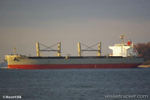 vessel Indigo Flora IMO: 9584877, Bulk Carrier
