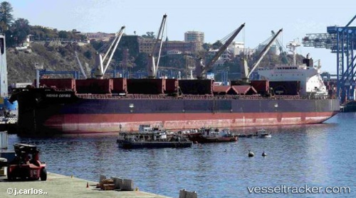 vessel Indigo Cefiro IMO: 9584891, Bulk Carrier
