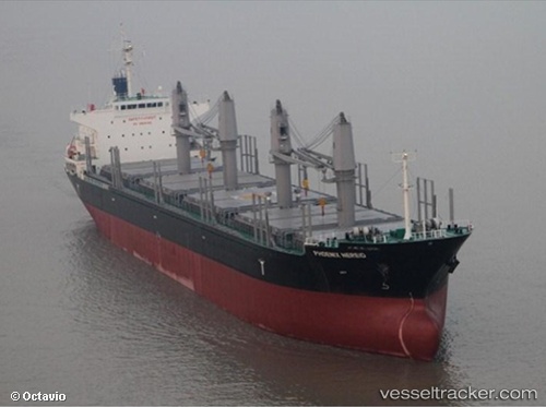 vessel Phoenix Nereid IMO: 9586863, Bulk Carrier
