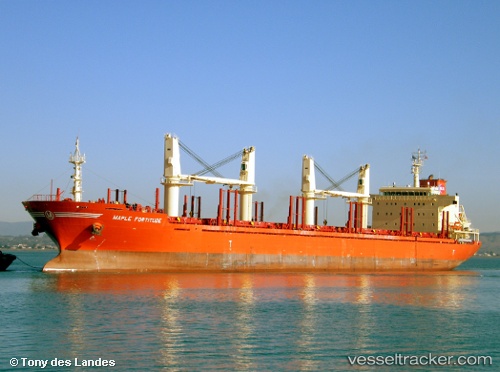 vessel Maple Fortitude IMO: 9587178, Bulk Carrier

