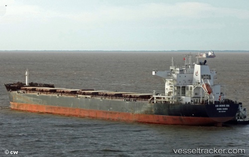 vessel Anthemis IMO: 9587441, Bulk Carrier
