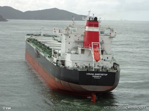 vessel Figalia Navigator IMO: 9588304, Bulk Carrier

