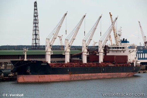 vessel Amalia IMO: 9588354, Bulk Carrier
