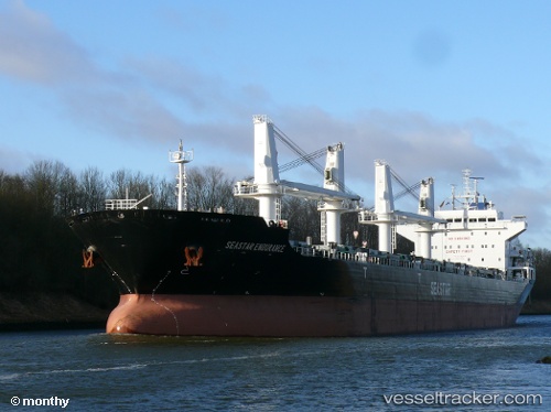 vessel Seastar Endurance IMO: 9588873, Bulk Carrier
