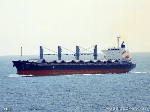 vessel Schelde Confidence IMO: 9589762, Bulk Carrier
