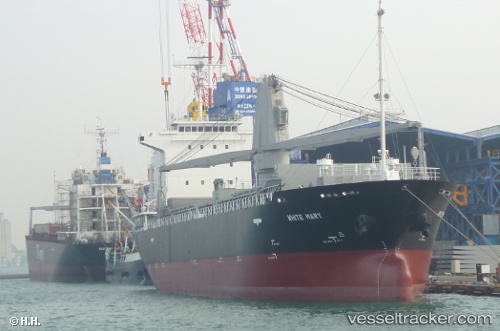 vessel White Mary IMO: 9589994, General Cargo Ship

