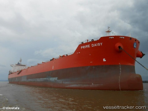 vessel Golden Daisy IMO: 9590759, Bulk Carrier
