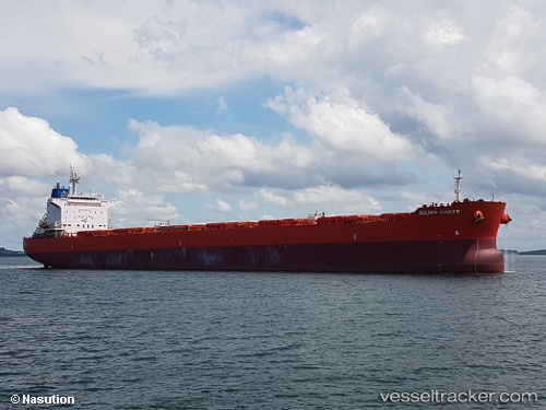 vessel Golden Ginger IMO: 9590761, Bulk Carrier
