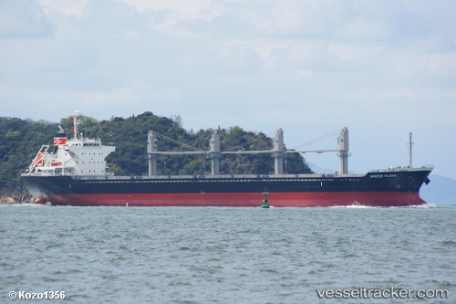 vessel Stentor IMO: 9590785, Bulk Carrier
