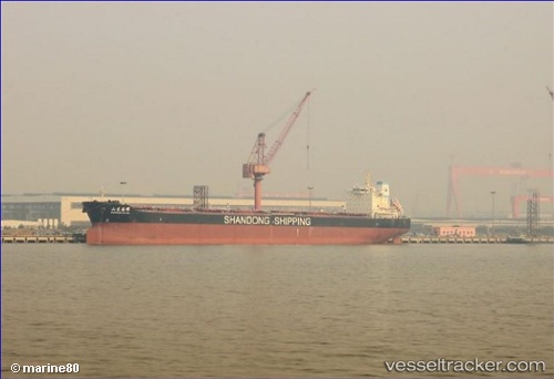 vessel Shandong Hai Yao IMO: 9591533, Bulk Carrier
