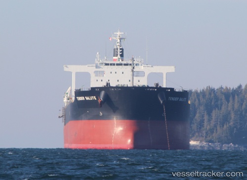 vessel POWER LOONG IMO: 9591595, Bulk Carrier