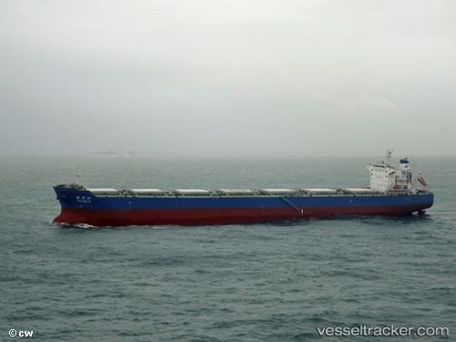 vessel Shi Dai 10 IMO: 9591715, Bulk Carrier
