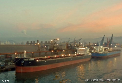 vessel EFFIE IMO: 9591806, Bulk Carrier