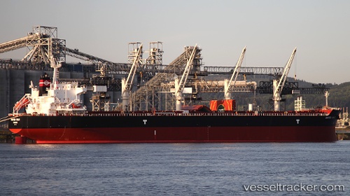 vessel United Halo IMO: 9593335, Bulk Carrier
