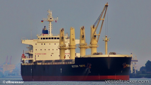 vessel Osios David IMO: 9593361, Bulk Carrier
