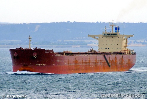 vessel Baltic Lion IMO: 9593464, Bulk Carrier
