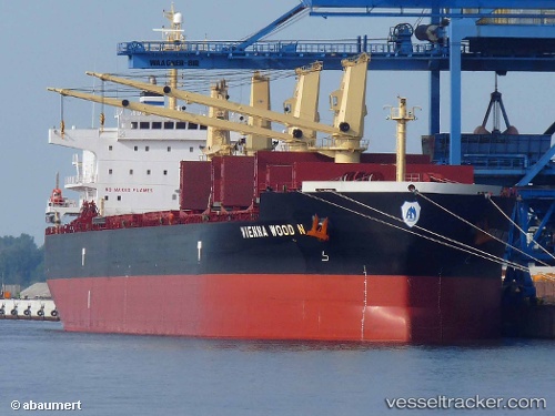 vessel Vienna Wood N IMO: 9593713, Bulk Carrier
