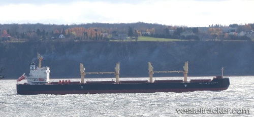 vessel Angelina The Great N IMO: 9593725, Bulk Carrier
