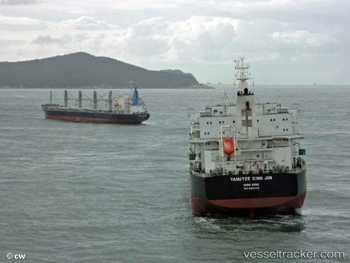 vessel Yangtze Xing Jin IMO: 9593763, Bulk Carrier
