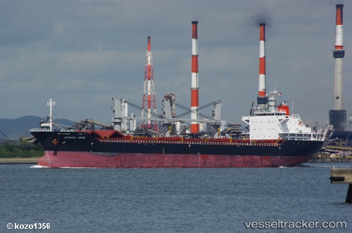 vessel Hermes Hope IMO: 9594078, Bulk Carrier
