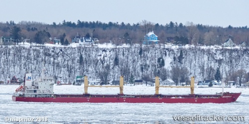 vessel Seahorse IMO: 9594456, Bulk Carrier
