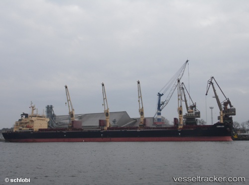 vessel Dorado IMO: 9594614, Bulk Carrier
