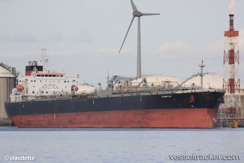 vessel Flagship Tulip IMO: 9594896, Oil Products Tanker
