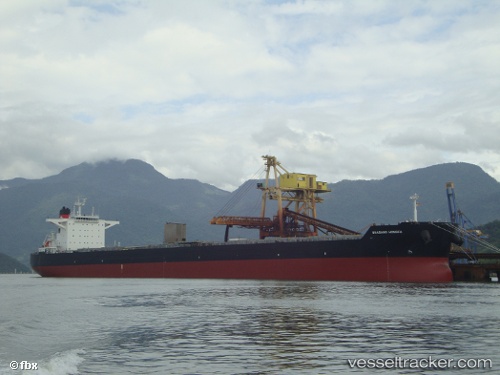 vessel Shagang Hongfa IMO: 9595591, Bulk Carrier

