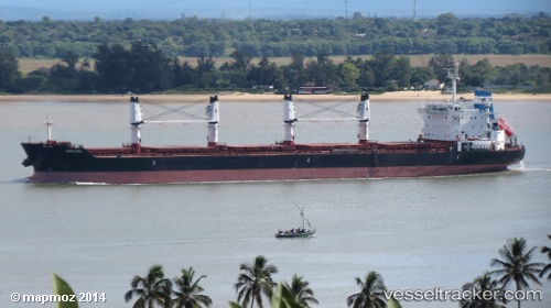 vessel Adelina IMO: 9595785, Bulk Carrier

