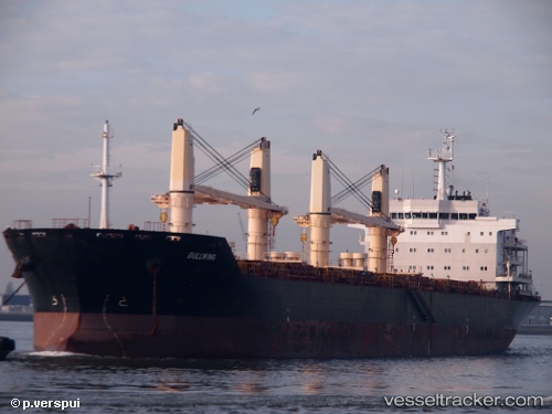 vessel Gullwing IMO: 9595981, Bulk Carrier
