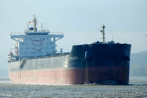 vessel W pacific IMO: 9596650, Bulk Carrier
