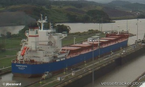 vessel Transpacific IMO: 9597226, Bulk Carrier
