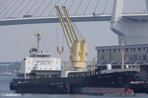 vessel Yusho Apricot IMO: 9597288, General Cargo Ship
