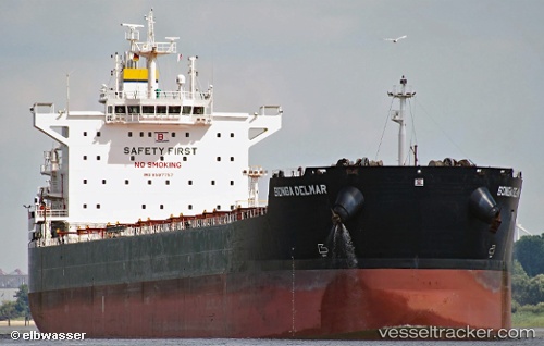 vessel Stardust IMO: 9597757, Bulk Carrier
