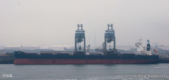 vessel Fiorela IMO: 9597769, Bulk Carrier
