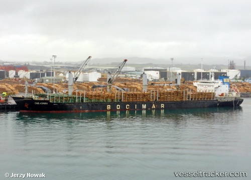 vessel Antigoni IMO: 9597991, Bulk Carrier
