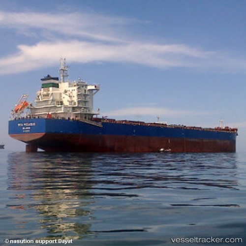 vessel Sea Pegasus IMO: 9598220, Bulk Carrier
