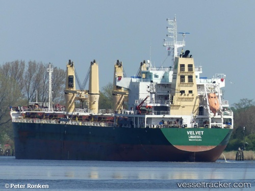 vessel Sealion IMO: 9598282, Bulk Carrier