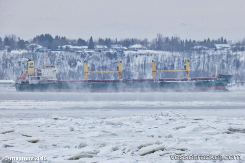 vessel Seahope IMO: 9598294, Bulk Carrier