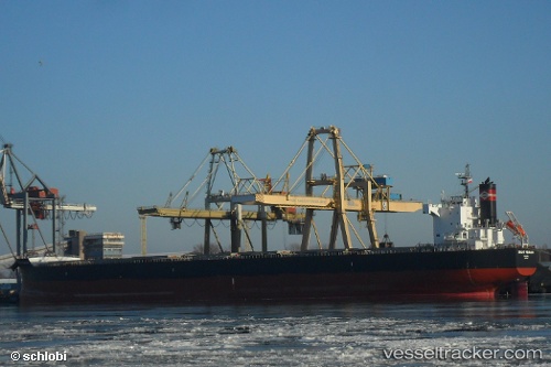 vessel Bright Pegasus IMO: 9599080, Bulk Carrier
