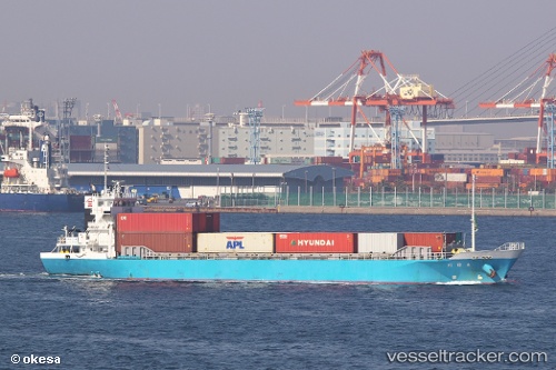 vessel Otagawa IMO: 9599212, General Cargo Ship
