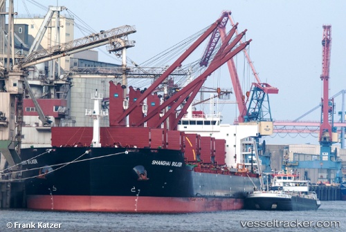 vessel Shanghai Bulker IMO: 9599913, Bulk Carrier
