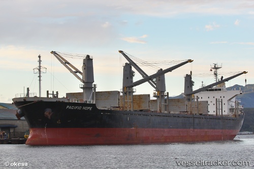 vessel Pacific Hope IMO: 9605047, Bulk Carrier
