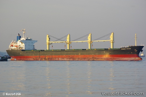 vessel Prinsesa Maganda IMO: 9605059, Bulk Carrier
