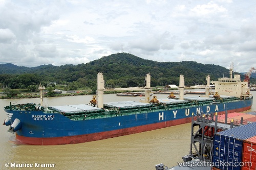vessel PACIFIC ACE IMO: 9605724, Bulk Carrier