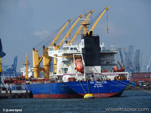 vessel Tbc Princess IMO: 9606871, Bulk Carrier
