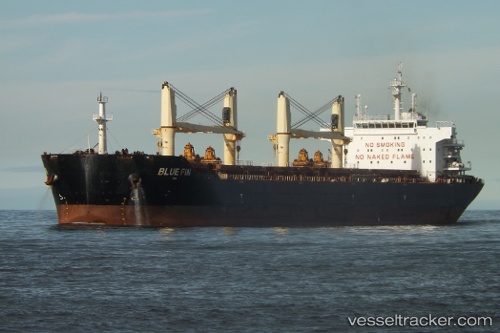 vessel Blue Fin IMO: 9607277, Bulk Carrier
